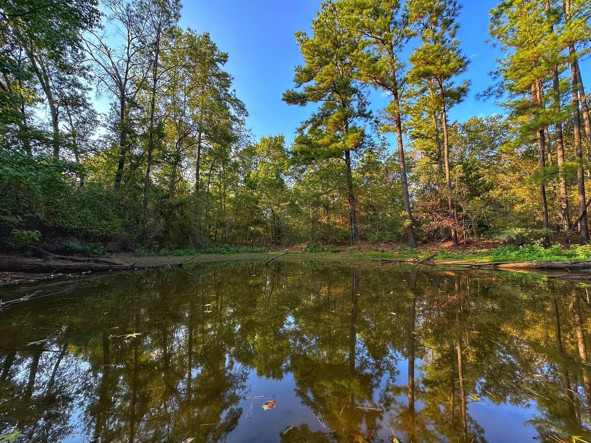 Leona, Leon County, TX Recreational Property, Hunting Property for sale Property ID 417766228