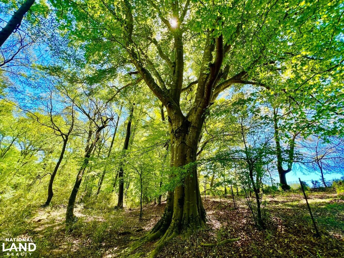 Anderson, Anderson County, SC Undeveloped Land for sale Property ID