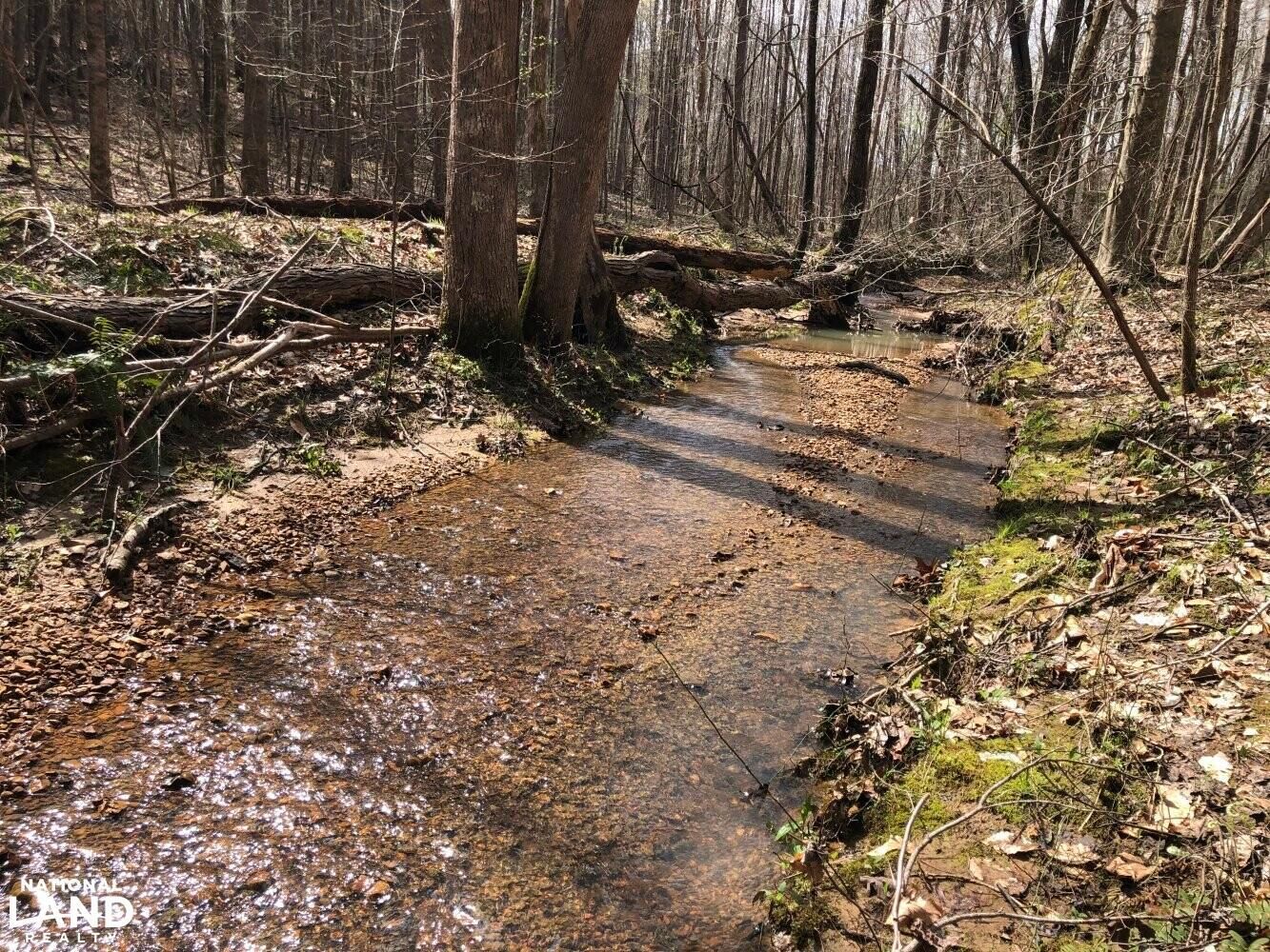 Michie, McNairy County, TN Recreational Property, Undeveloped Land for