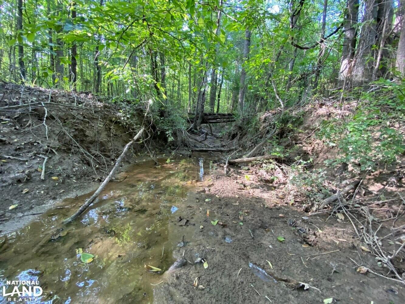 Gordo, Pickens County, AL Recreational Property, Timberland Property