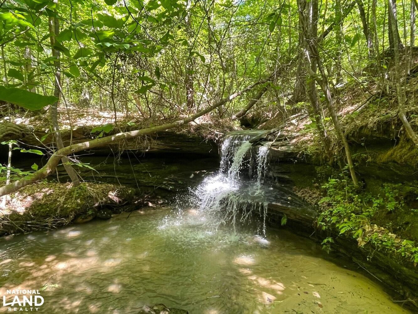 Double Springs, Winston County, AL Recreational Property, Undeveloped