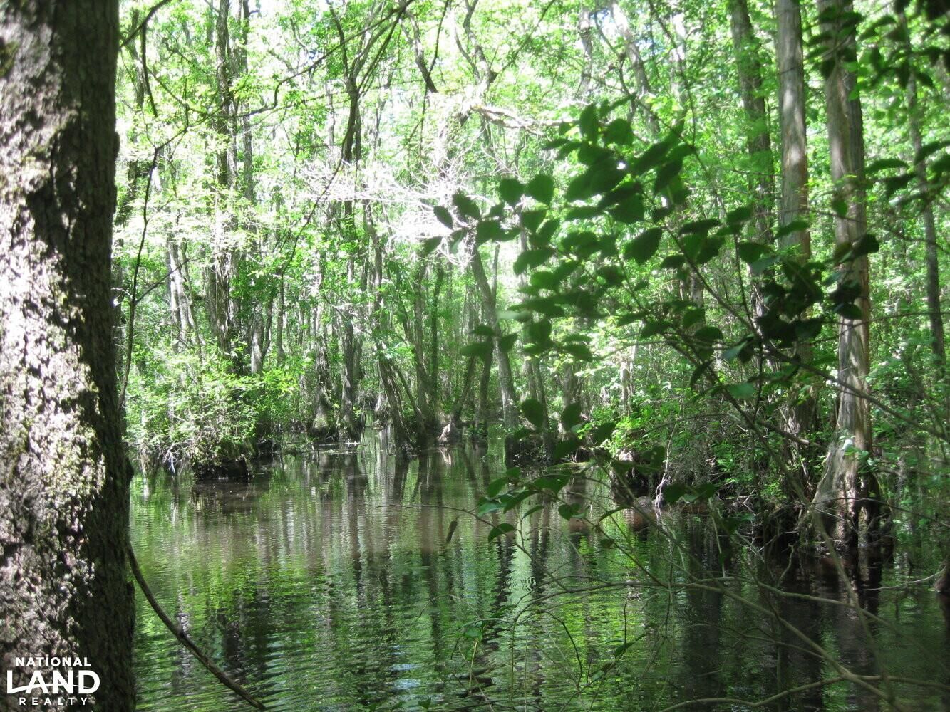 Mccoll, Marlboro County, SC Recreational Property, Riverfront Property