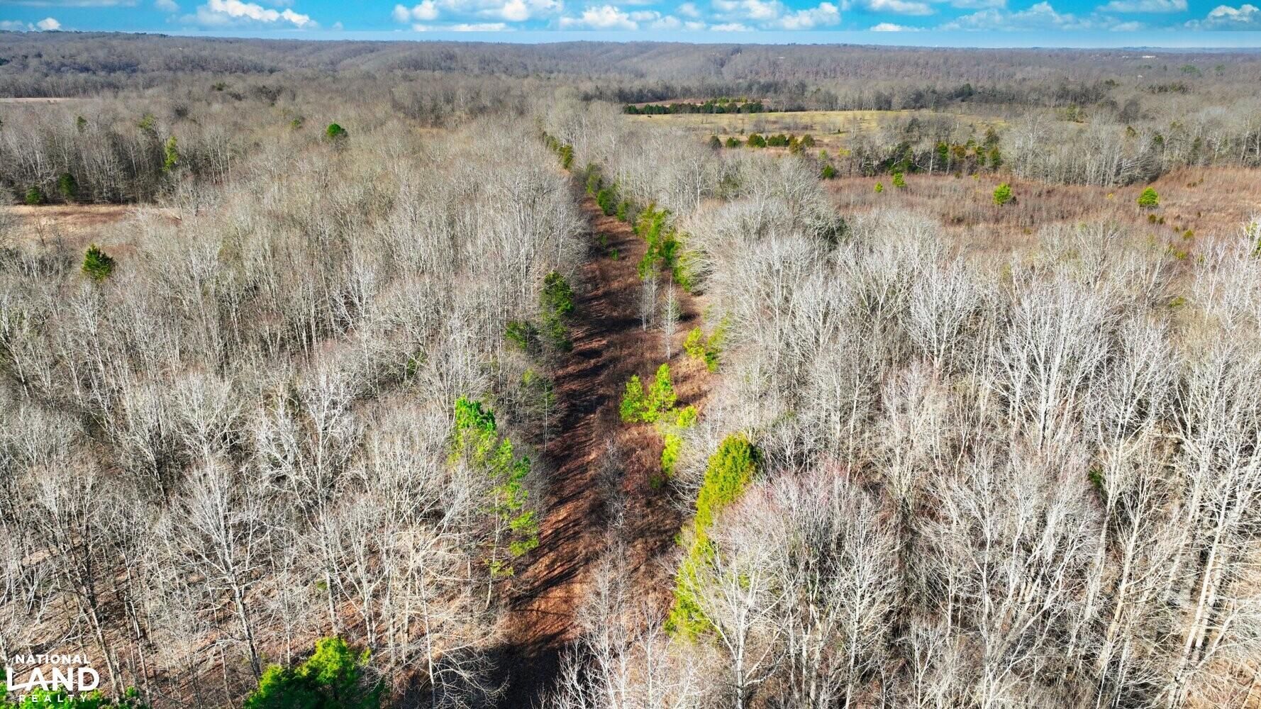 Duck River, Hickman County, TN Recreational Property, Timberland