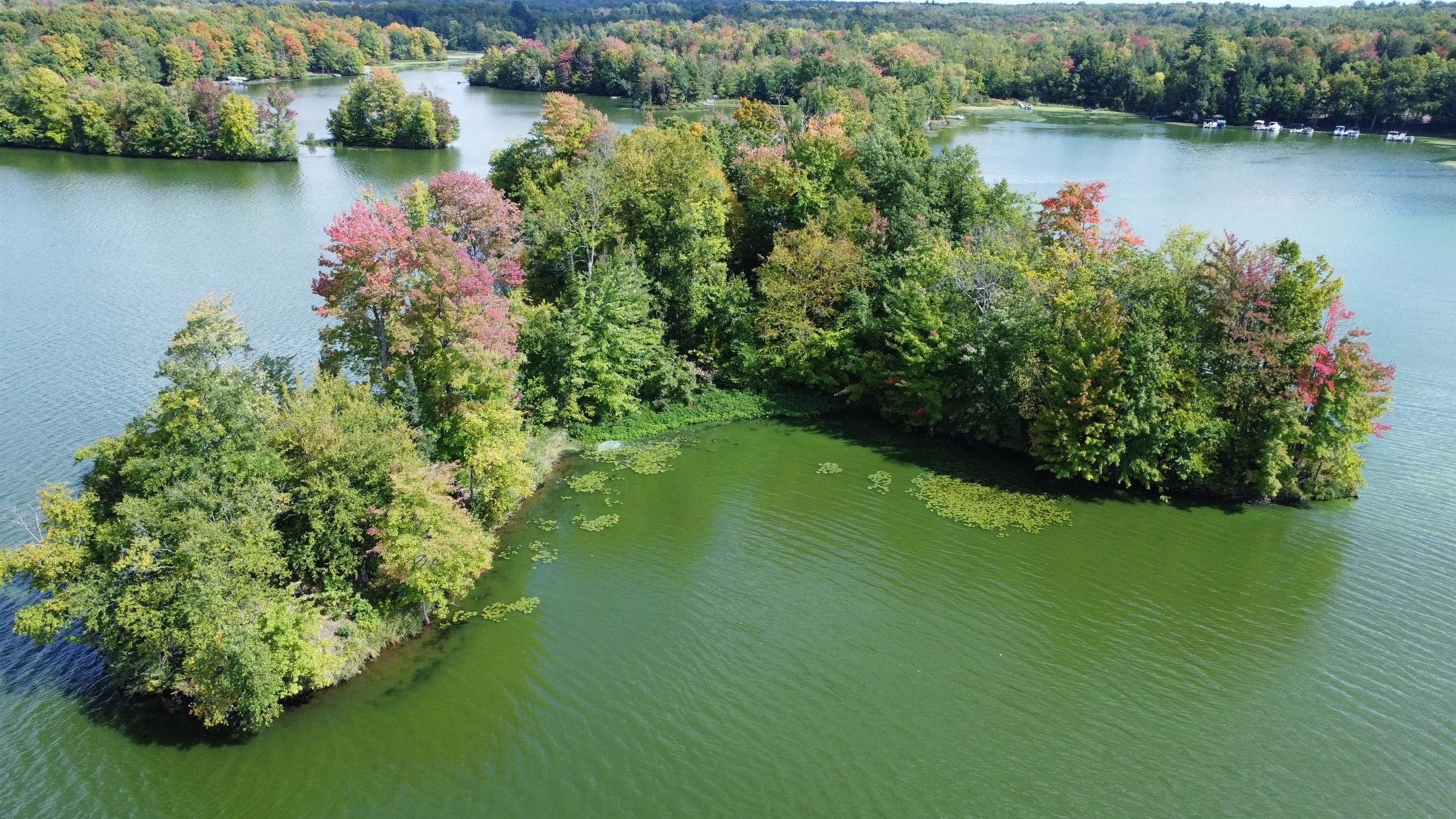 Stanley, Chippewa County, WI Undeveloped Land, Lakefront Property