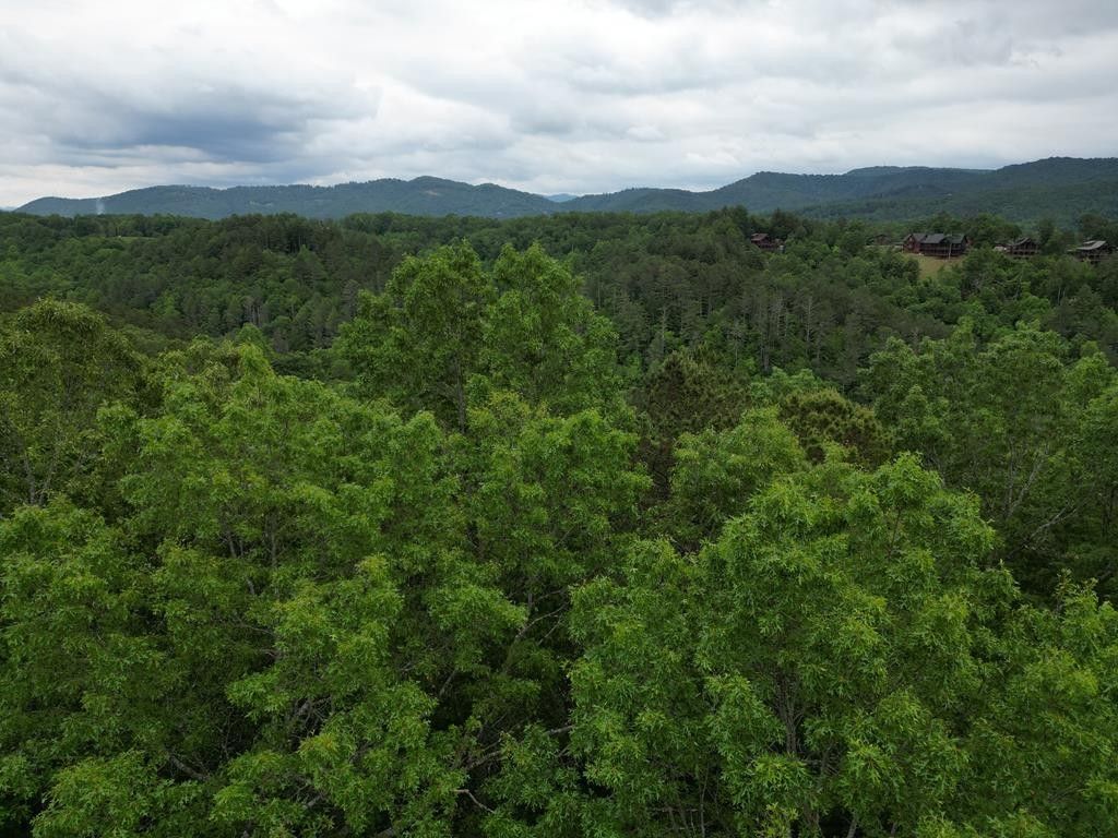 Murphy, Cherokee County, NC Undeveloped Land for sale Property ID