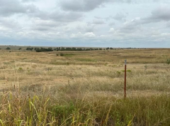 Buffalo, Harper County, OK Farms and Ranches, Undeveloped Land for sale