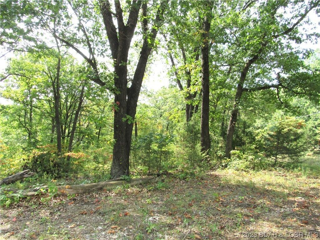 Rocky Mount, County, MO Undeveloped Land, Lakefront Property