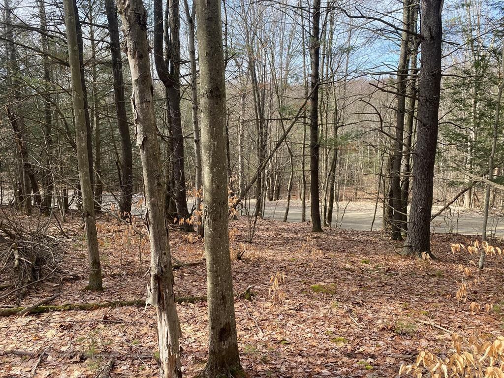 Chemung, Chemung County, NY Undeveloped Land for sale Property ID