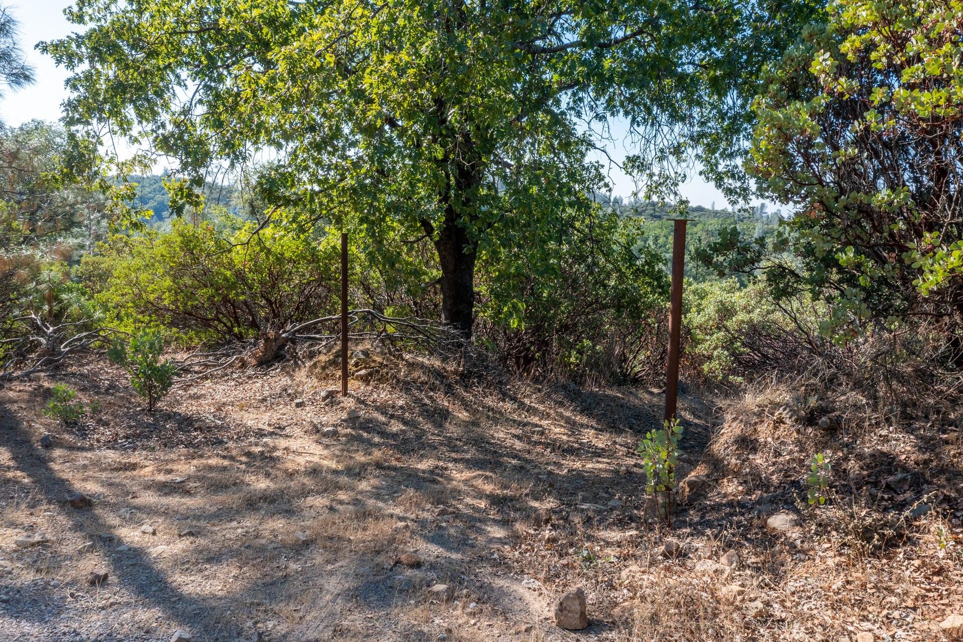 Bella Vista, Shasta County, CA Undeveloped Land for sale Property ID