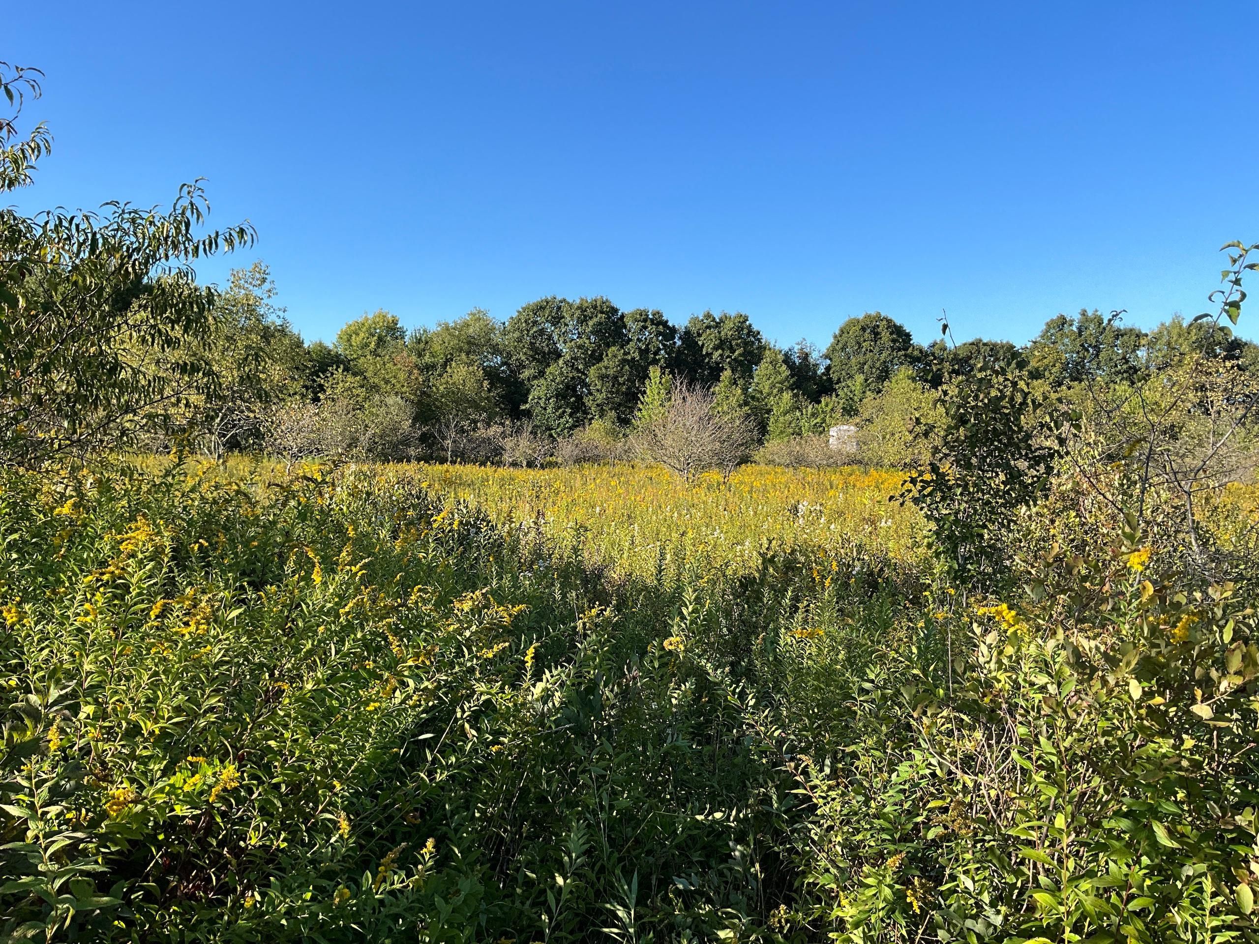 Farmington, Fayette County, PA Farms and Ranches, Recreational Property