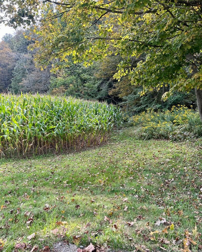 Westfield, Potter County, PA Undeveloped Land, Homesites for sale
