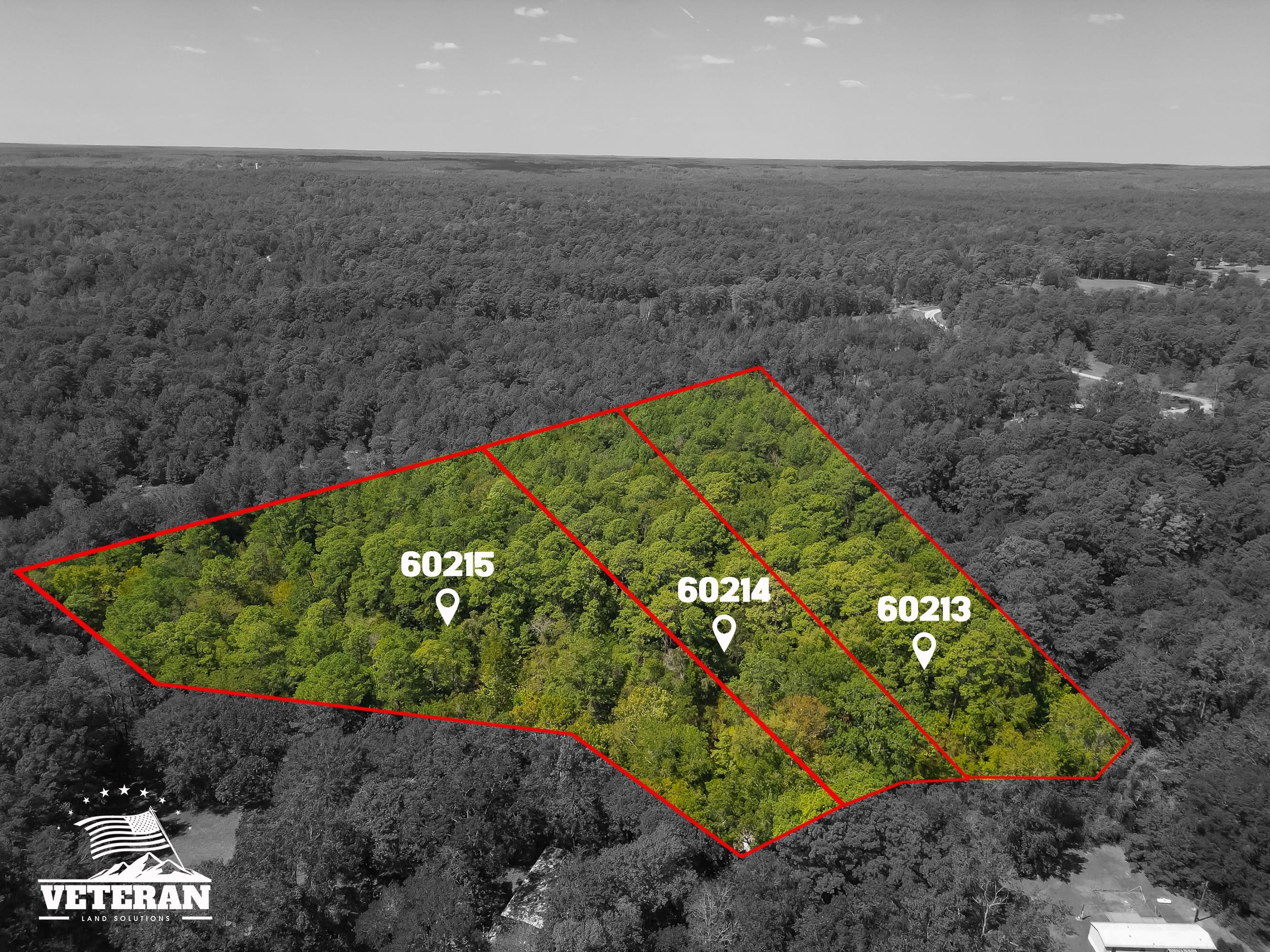 Coldspring, San Jacinto County, TX Recreational Property, Undeveloped