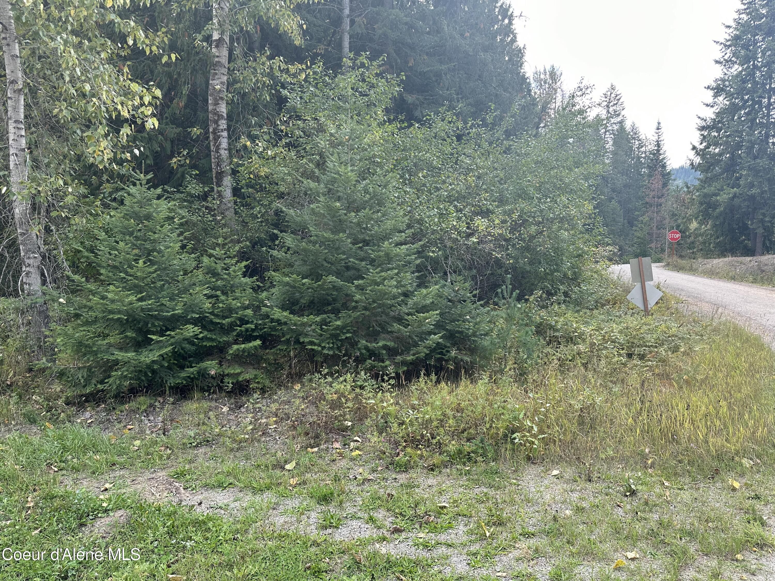 Kingston, Shoshone County, ID Undeveloped Land, Homesites for sale