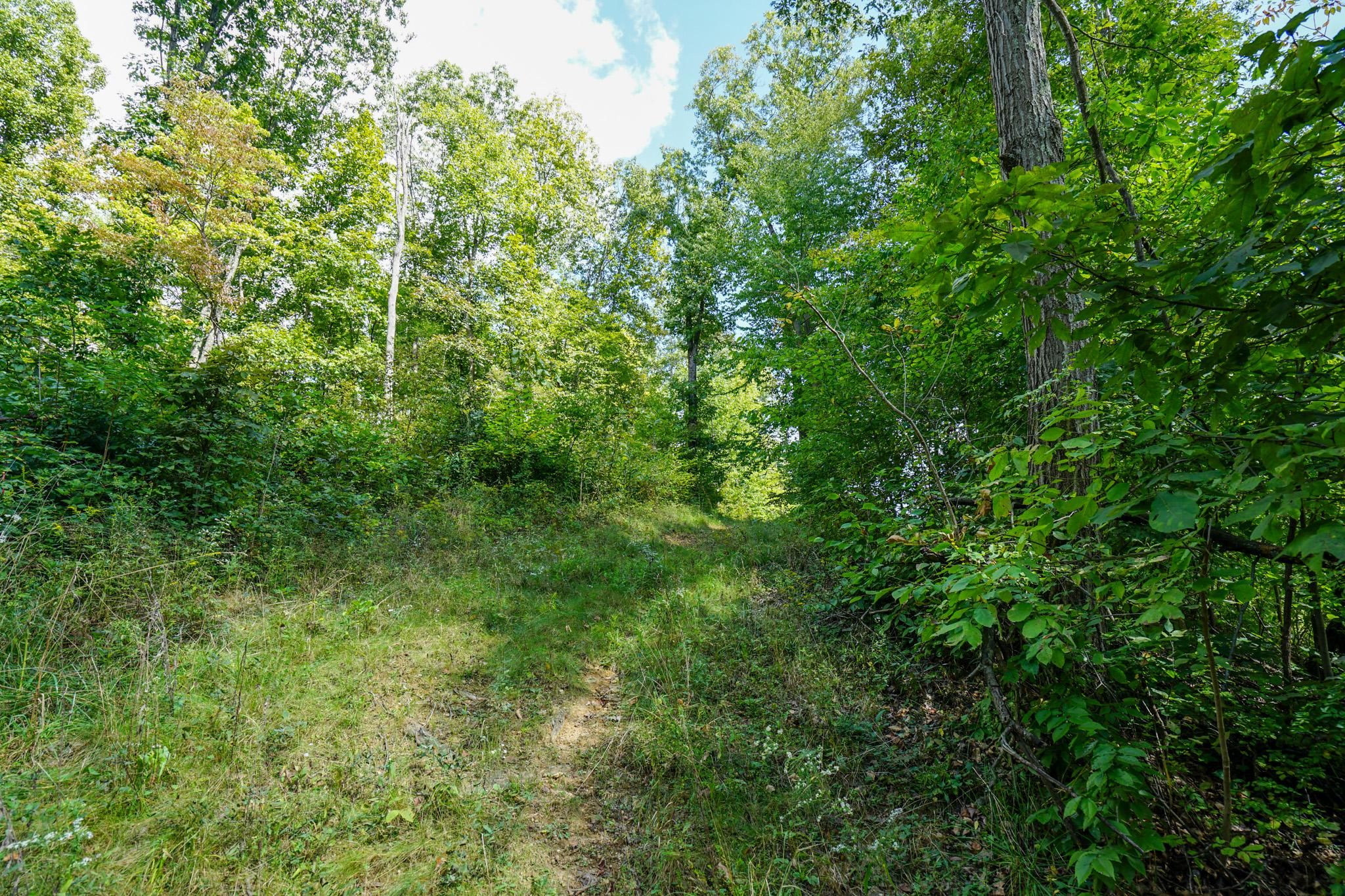 Blue Rock, Muskingum County, OH Hunting Property for sale Property ID