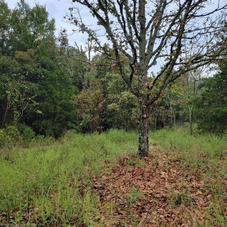 Paris, Logan County, AR Undeveloped Land, Homesites for sale Property