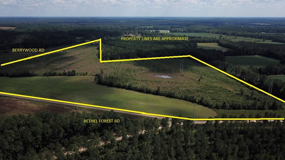 Bethel Forest Road, Orangeburg, SC 29115 MLS Bethel Forest Rd Tract