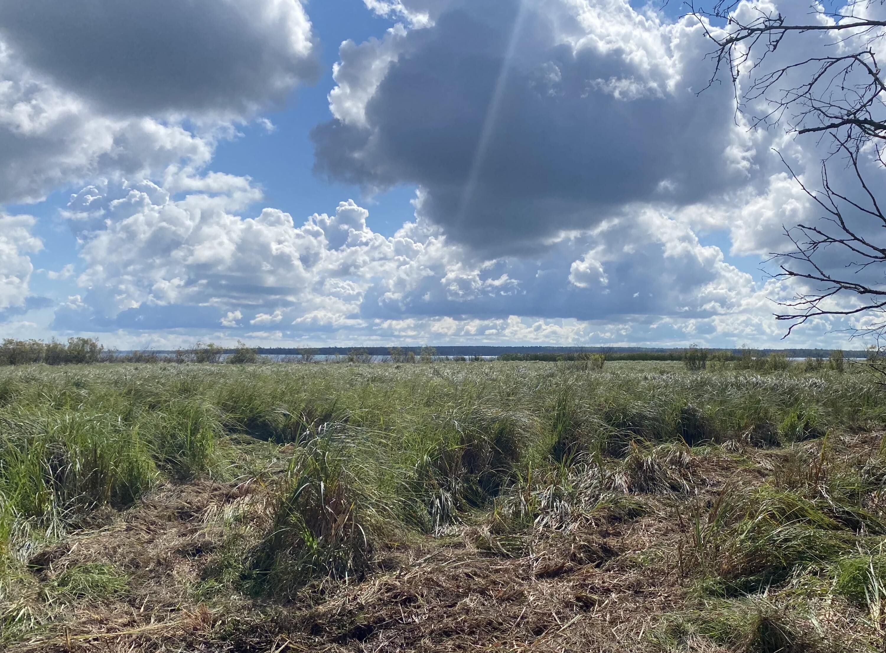 Sault Sainte Marie, Chippewa County, MI Undeveloped Land, Lakefront