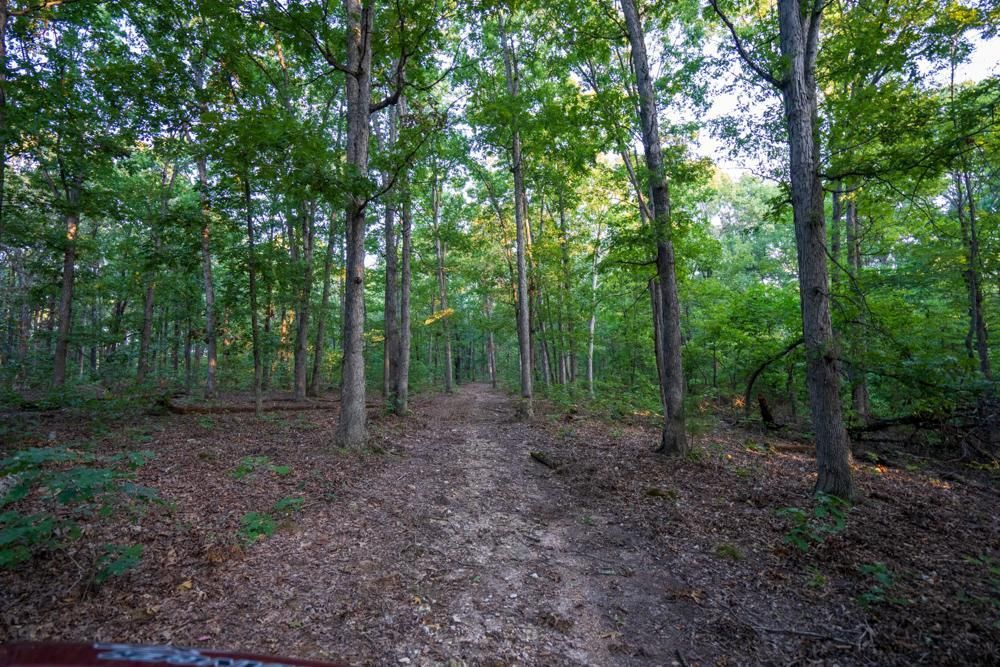 Mount Vernon, Lawrence County, MO Recreational Property, Timberland