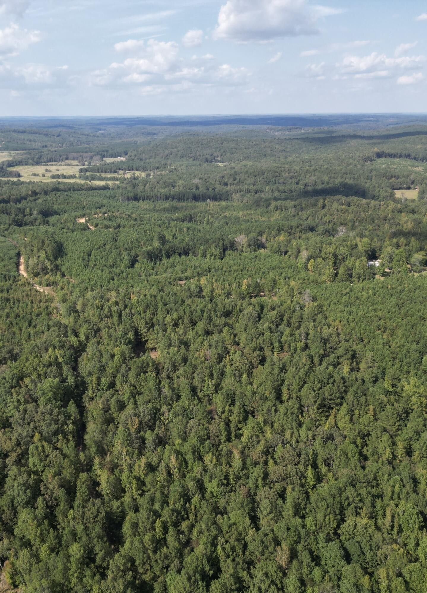 Kennedy, Lamar County, AL Undeveloped Land for sale Property ID