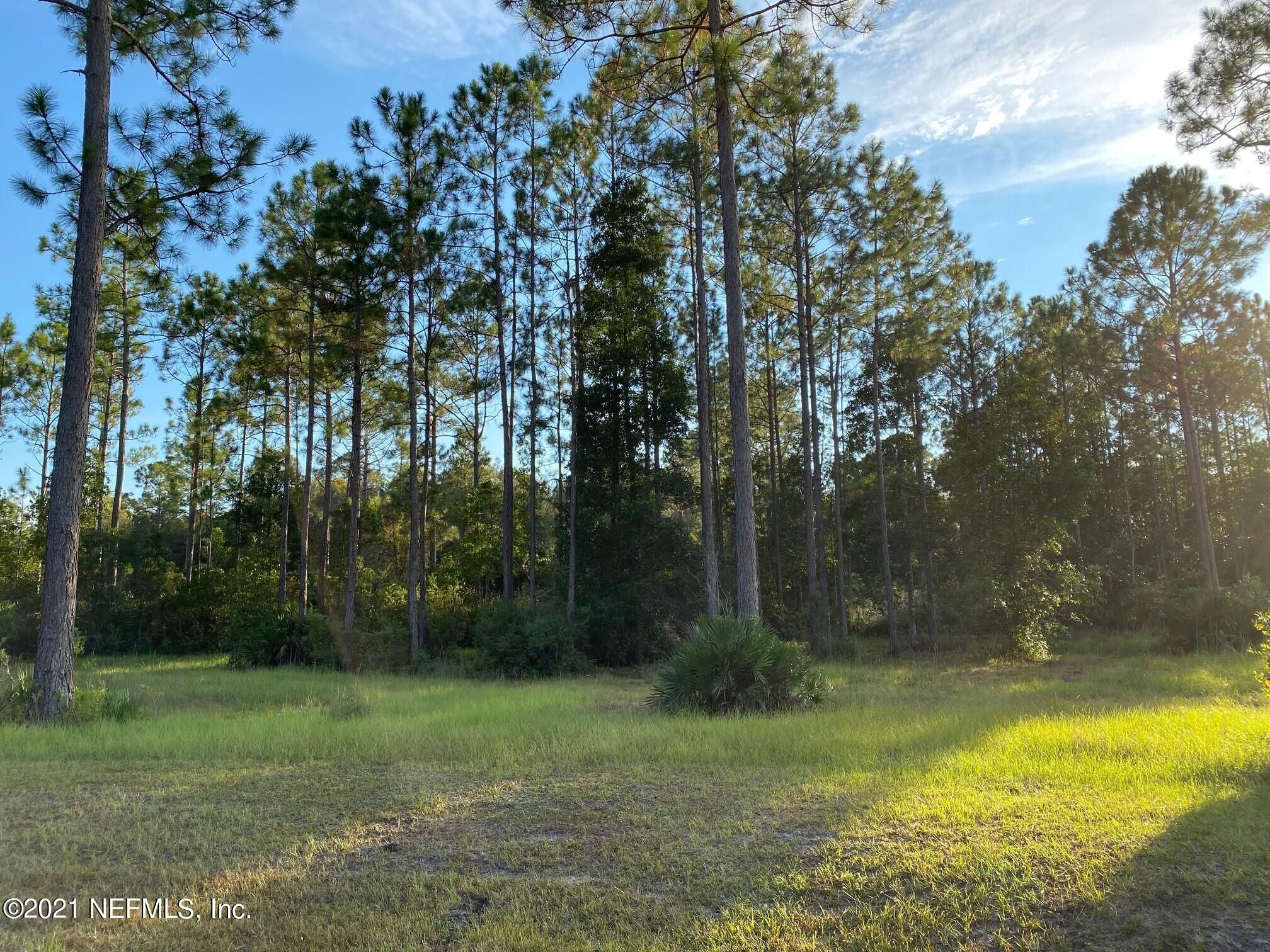 Jacksonville, Duval County, FL Undeveloped Land, Homesites for sale