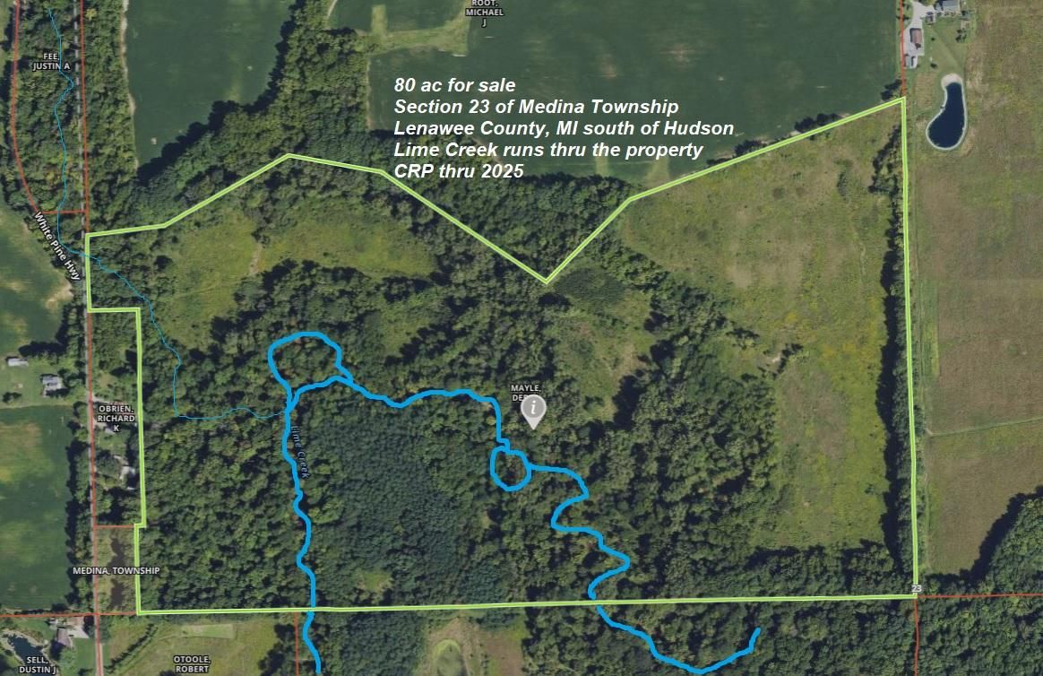 10555 White Pine Hwy, Morenci, MI 49256 LandWatch