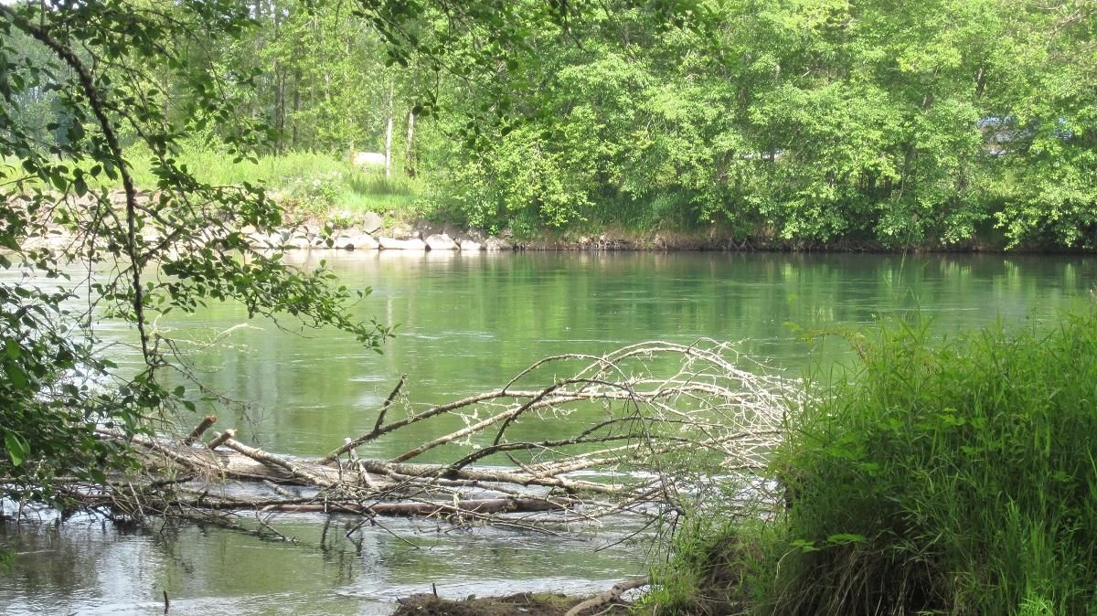 Toledo, Lewis County, WA Riverfront Property, Waterfront Property for sale Property ID