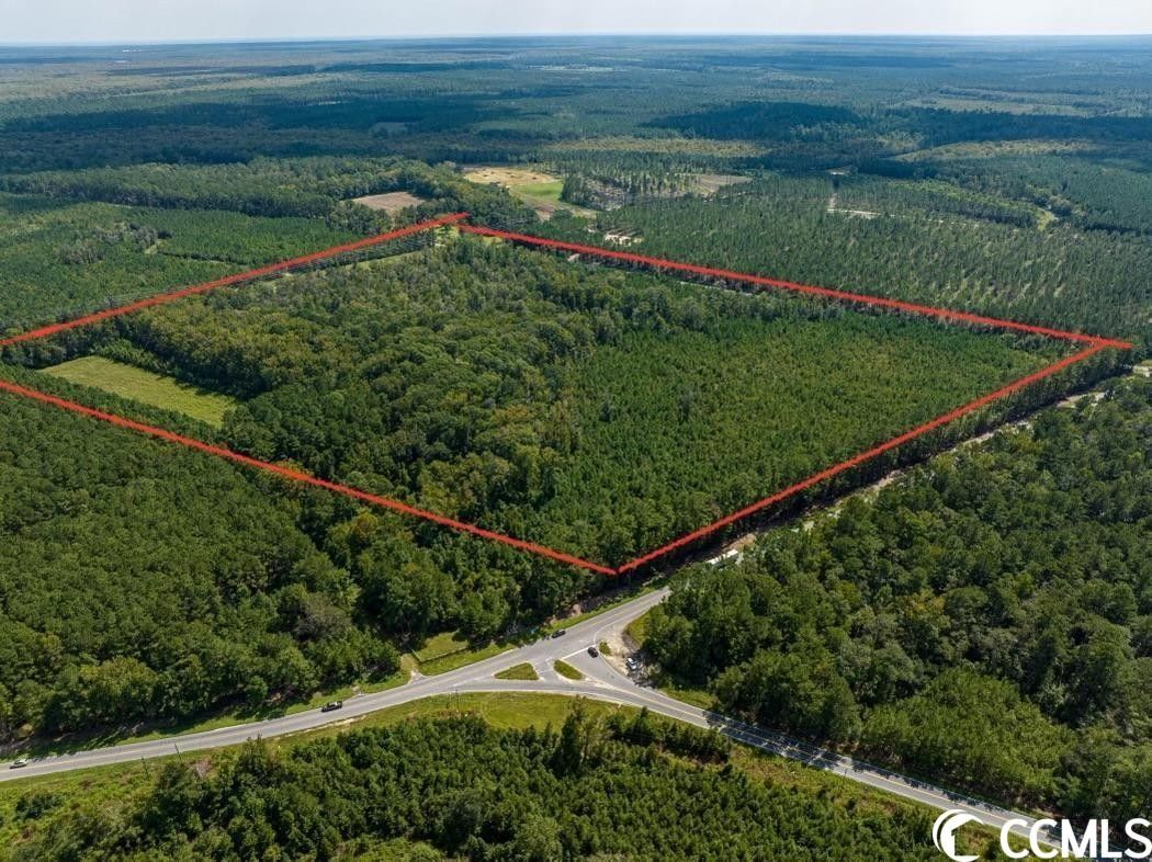 County, SC Undeveloped Land for sale Property ID