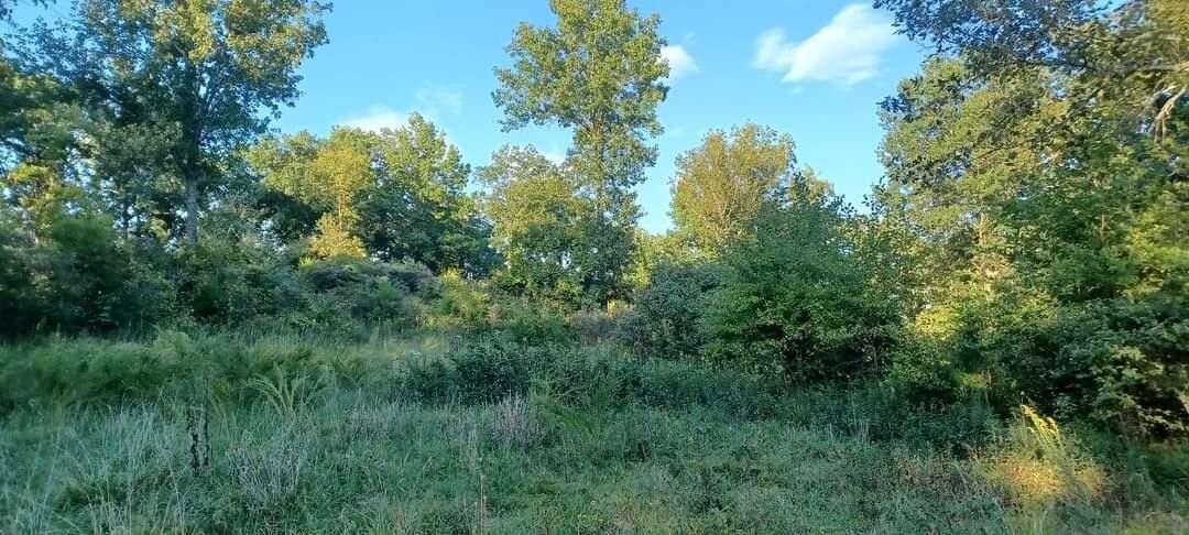 Land For Sale In Henry County Kentucky