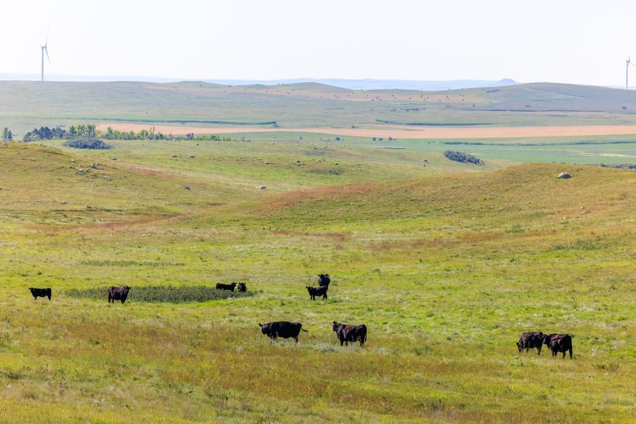 New Salem, Oliver County, ND Farms and Ranches, Hunting Property for