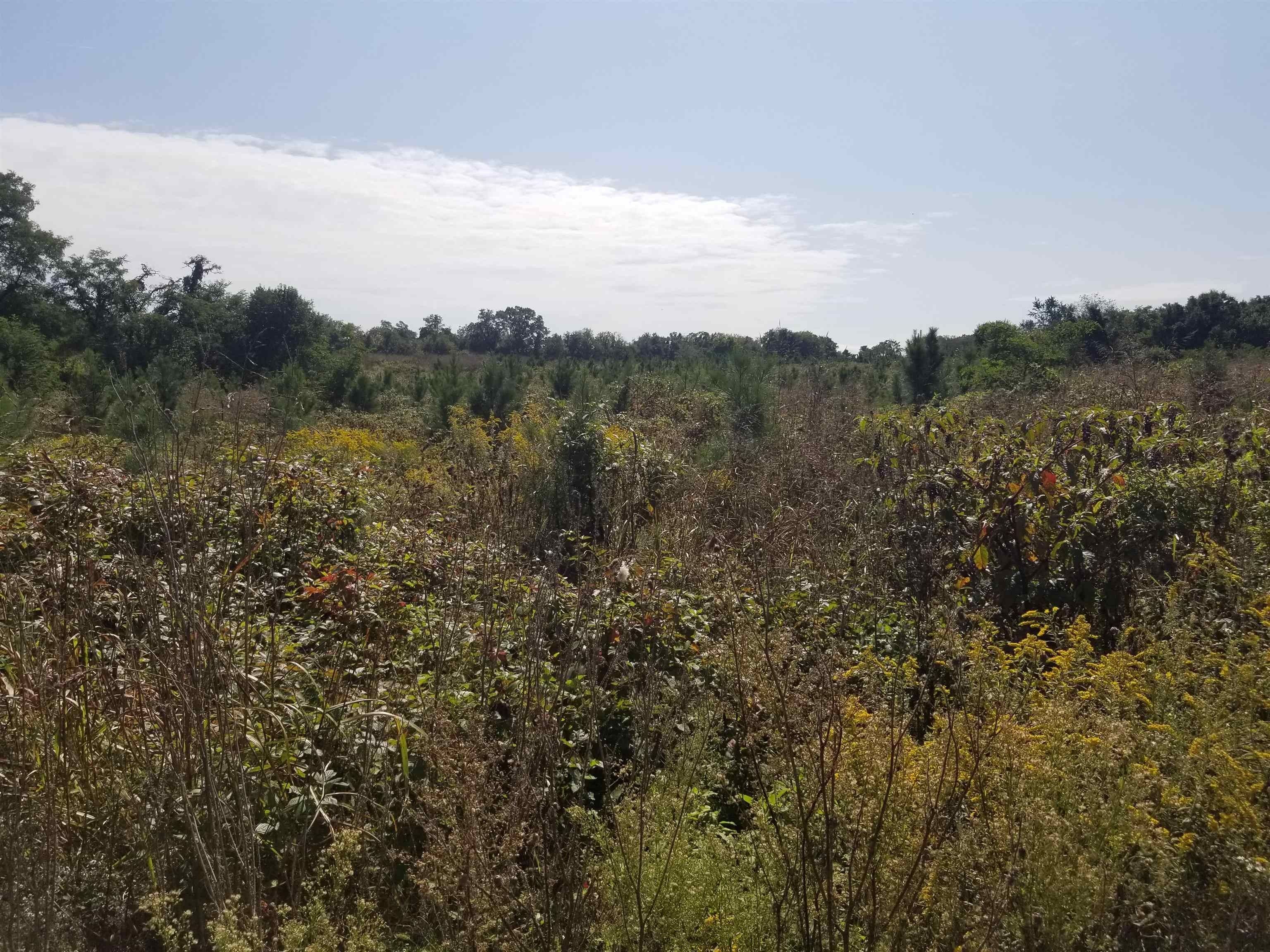 Berryville, Clarke County, VA Farms and Ranches for sale Property ID 417793272 LandWatch