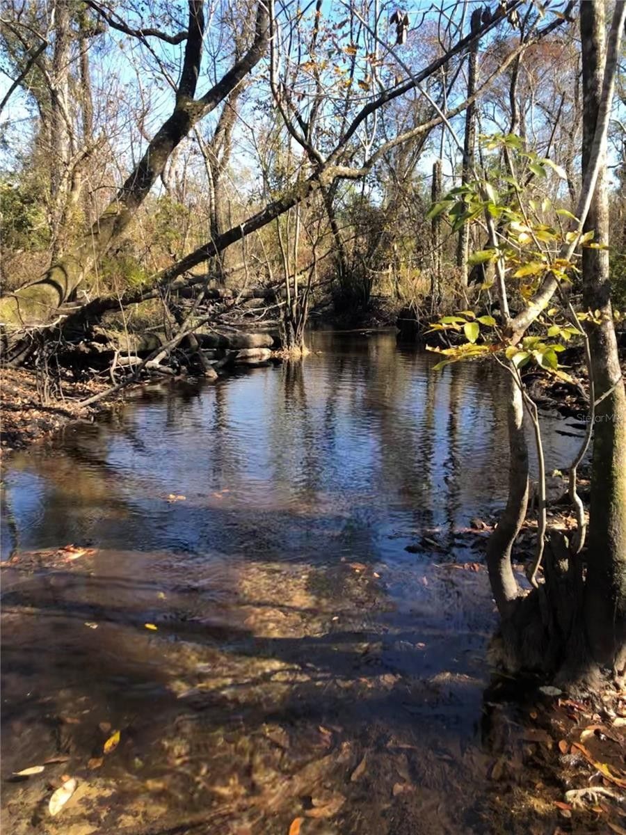 Bristol, Liberty County, FL Undeveloped Land for sale Property ID