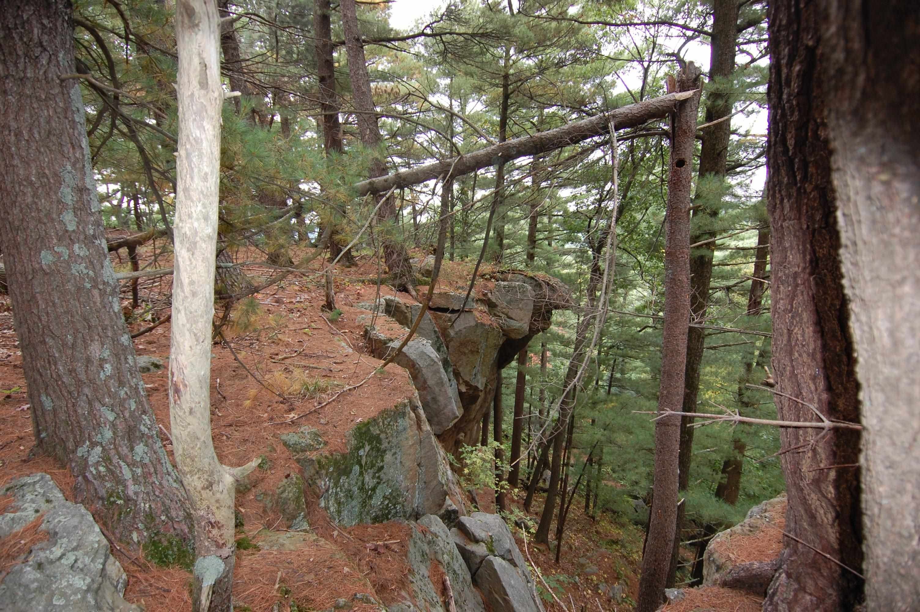 Highland, Iowa County, WI Undeveloped Land for sale Property ID