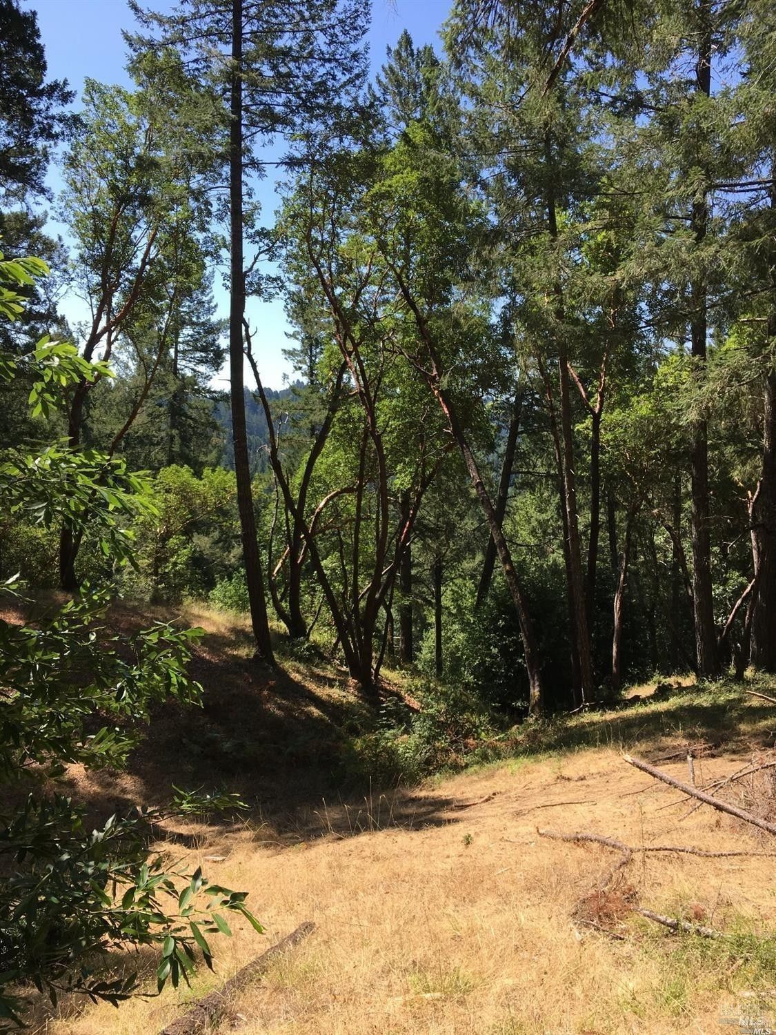Guerneville, Sonoma County, CA Undeveloped Land for sale Property ID