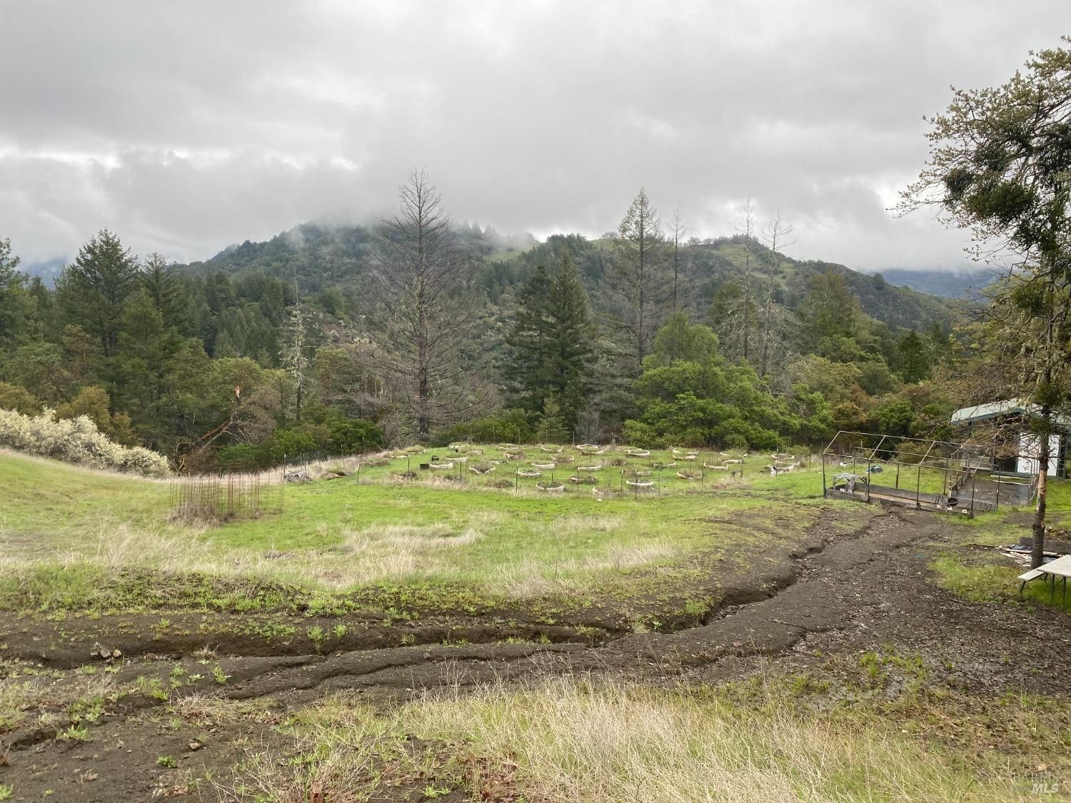 Laytonville, Mendocino County, CA Undeveloped Land for sale Property ID