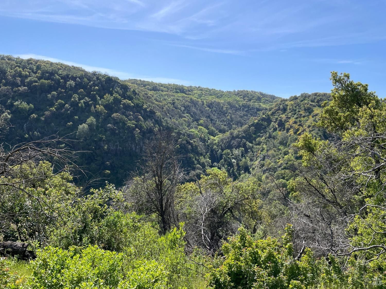 Green Valley, Solano County, CA Undeveloped Land for sale Property ID
