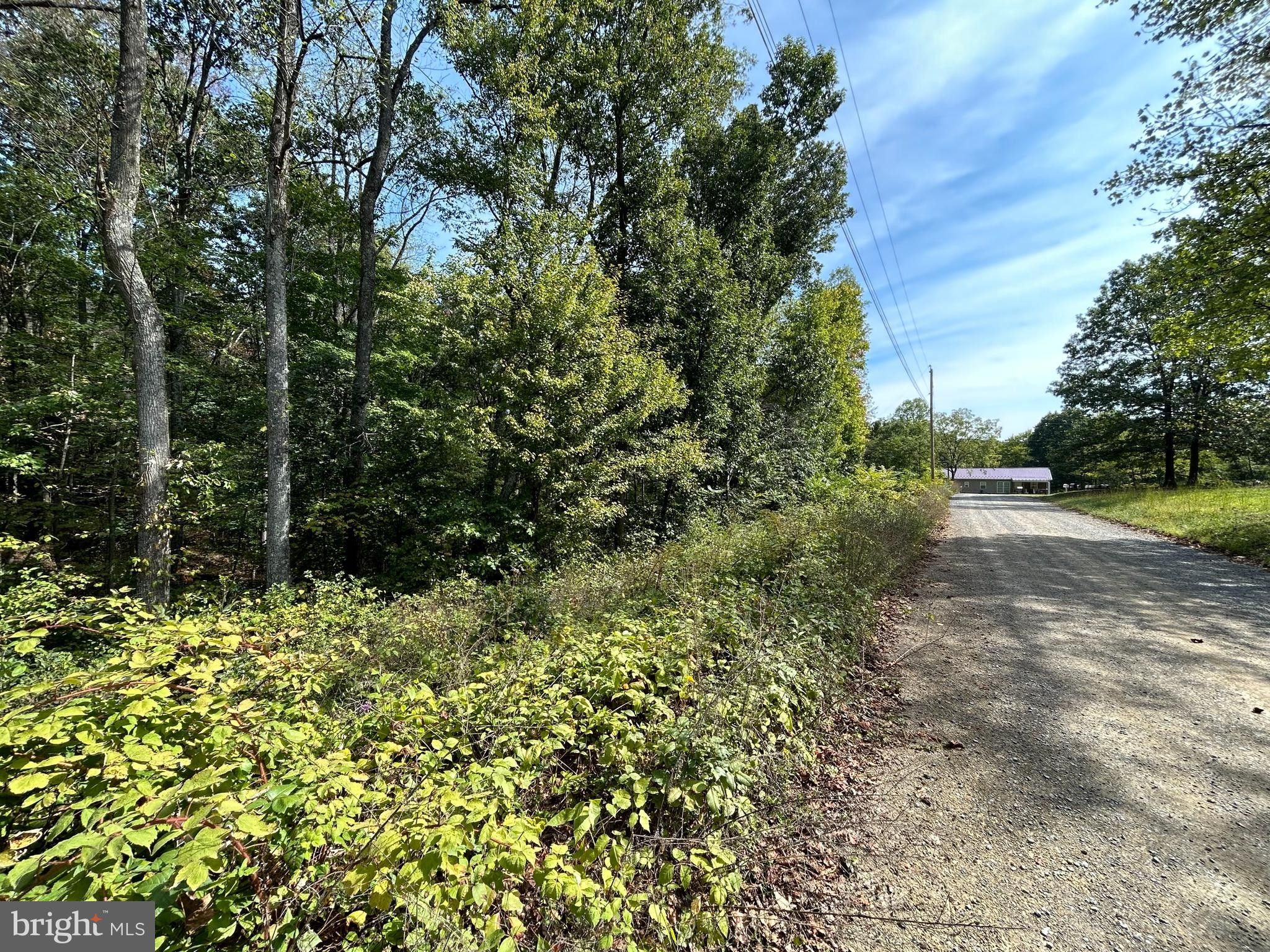 Hedgesville, Berkeley County, WV Undeveloped Land for sale Property ID