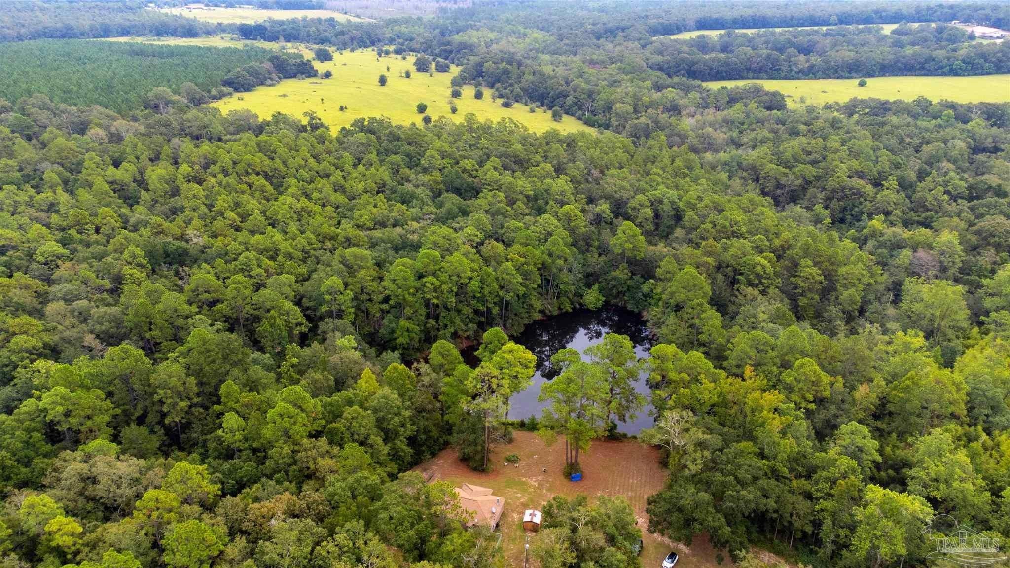 Molino, Escambia County, FL Lakefront Property, Waterfront Property