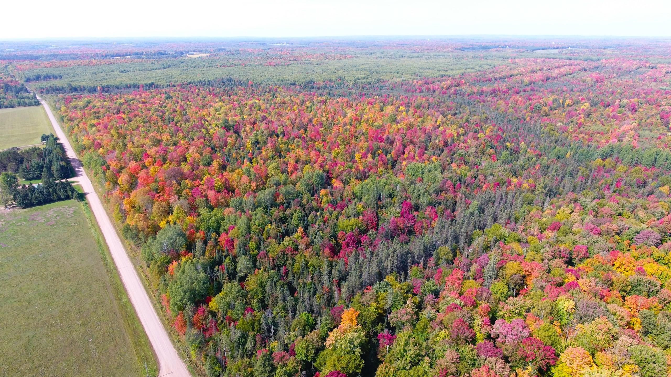 Gleason, Langlade County, WI Recreational Property, Timberland Property, Hunting Property for
