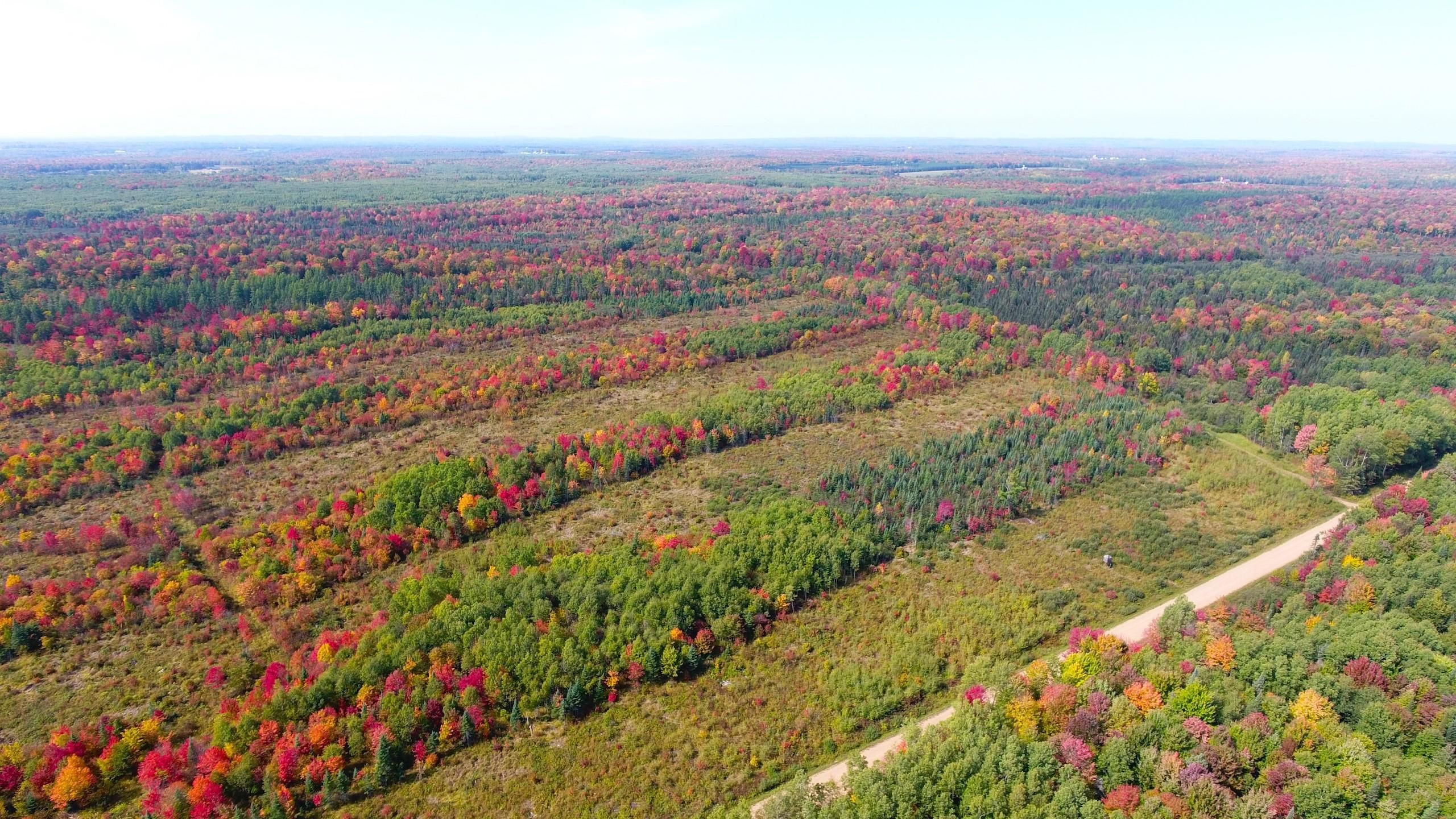 Gleason, Langlade County, WI Recreational Property, Hunting Property