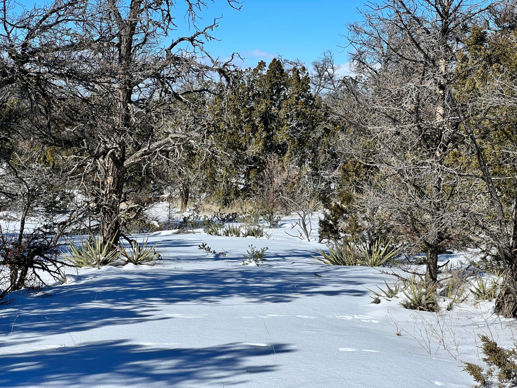 Ramah, McKinley County, NM Recreational Property, Homesites for sale Property ID 417797010