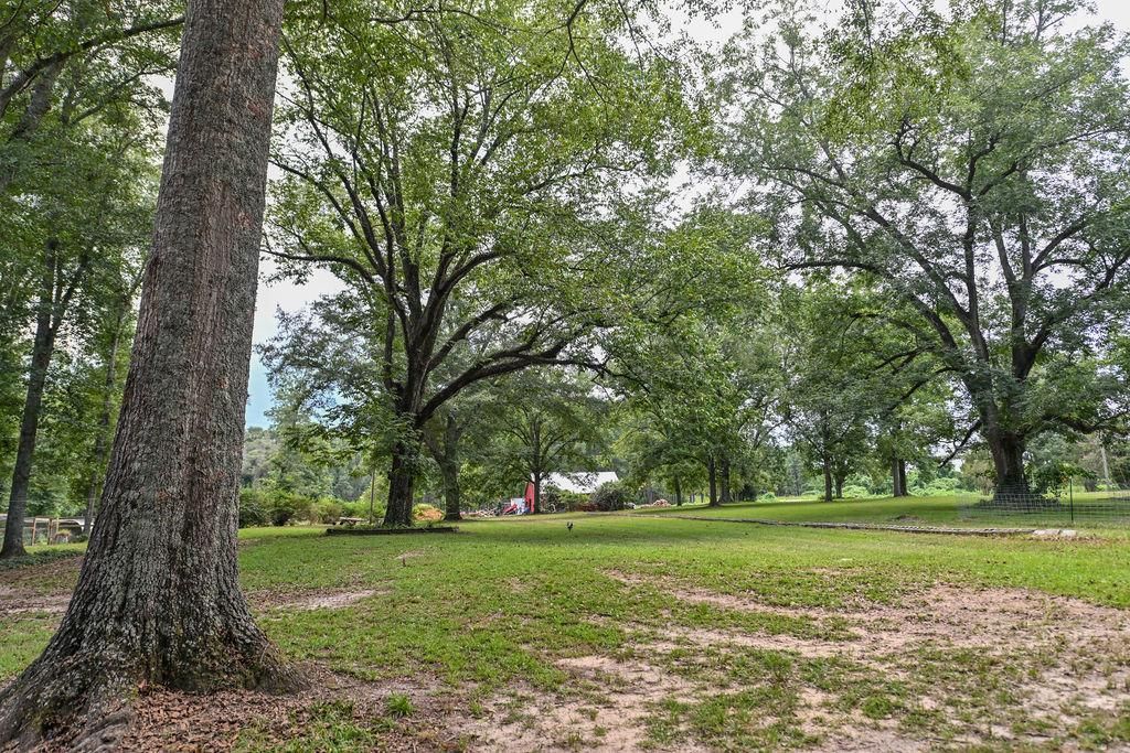 Banks, Pike County, AL Farms and Ranches, Hunting Property, House for