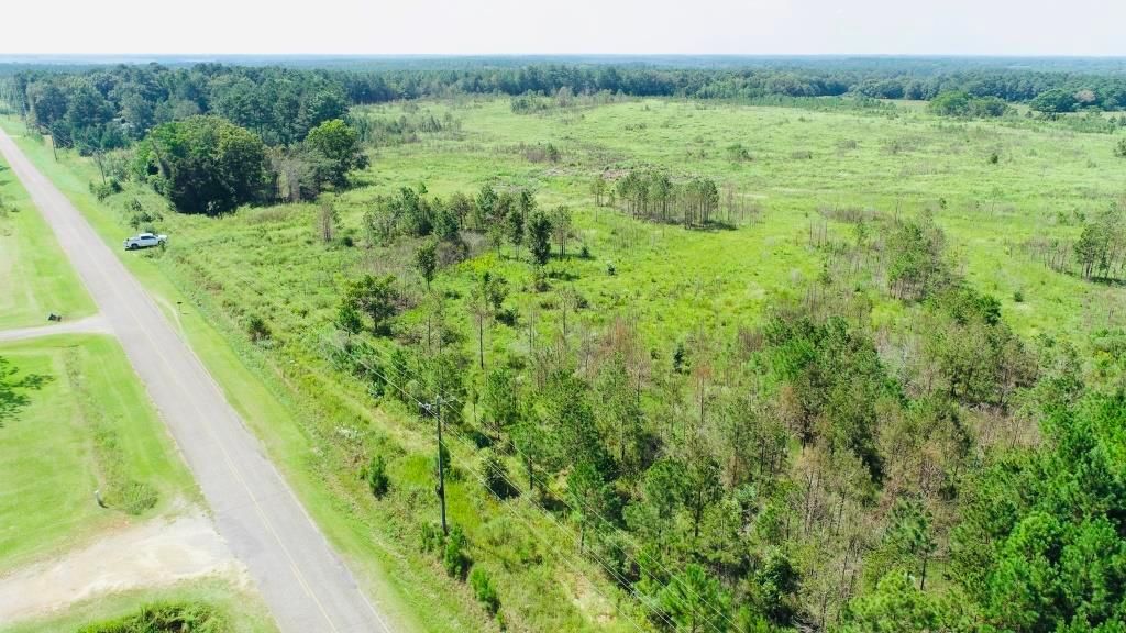 Mims Rd, Byromville, GA 31007 MLS Dooly Longleaf LandWatch