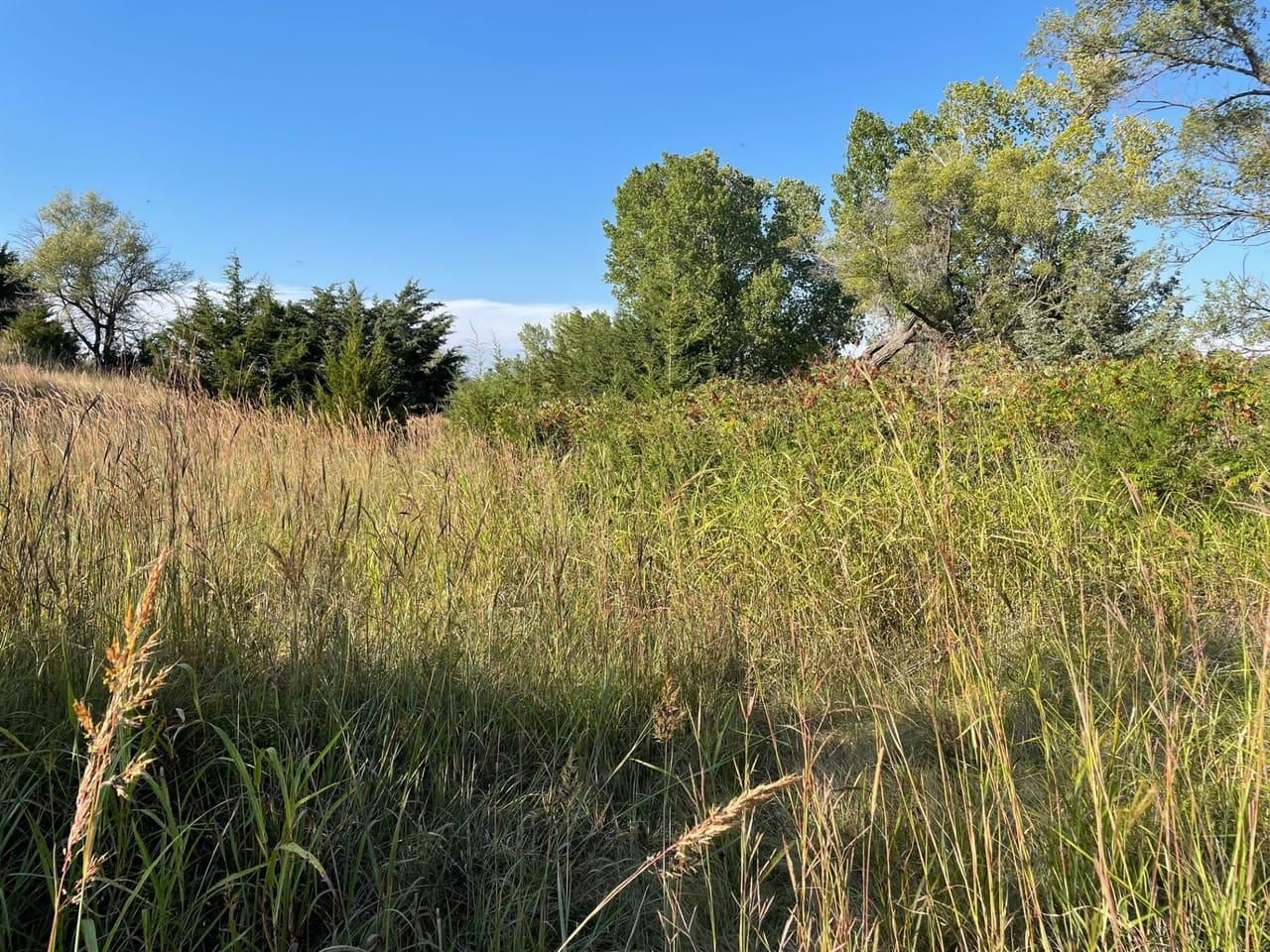 Bunker Hill, Russell County, KS Farms and Ranches, Recreational