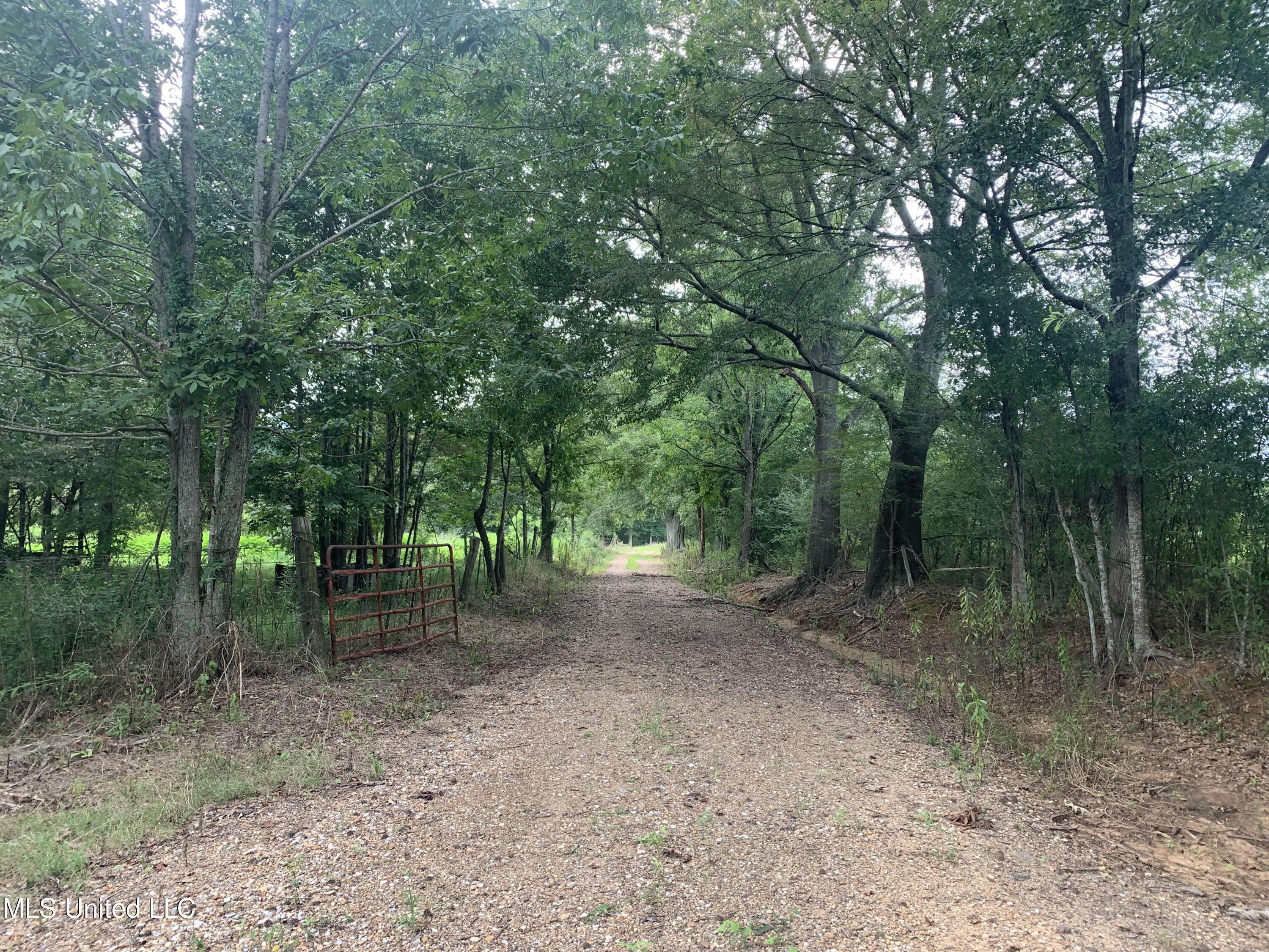 Conehatta, Newton County, MS Undeveloped Land for sale Property ID