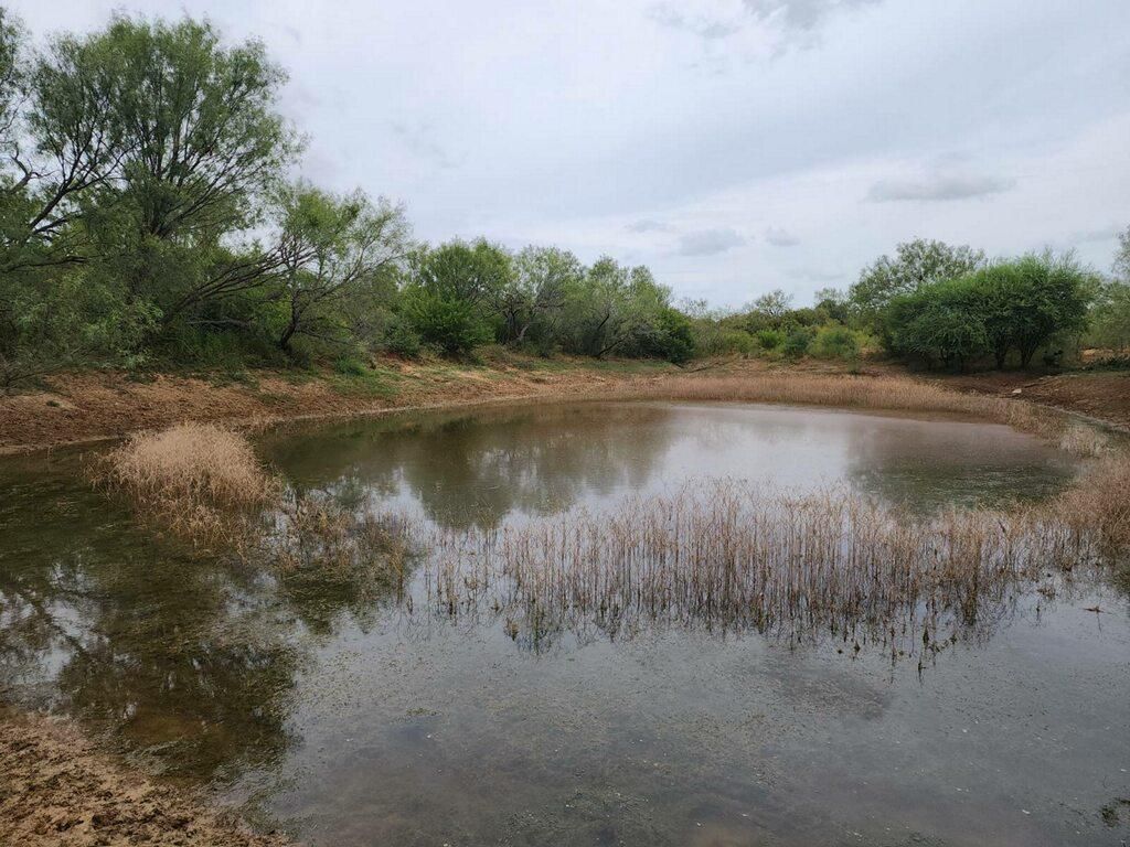 Hondo, Medina County, TX Recreational Property, Undeveloped Land