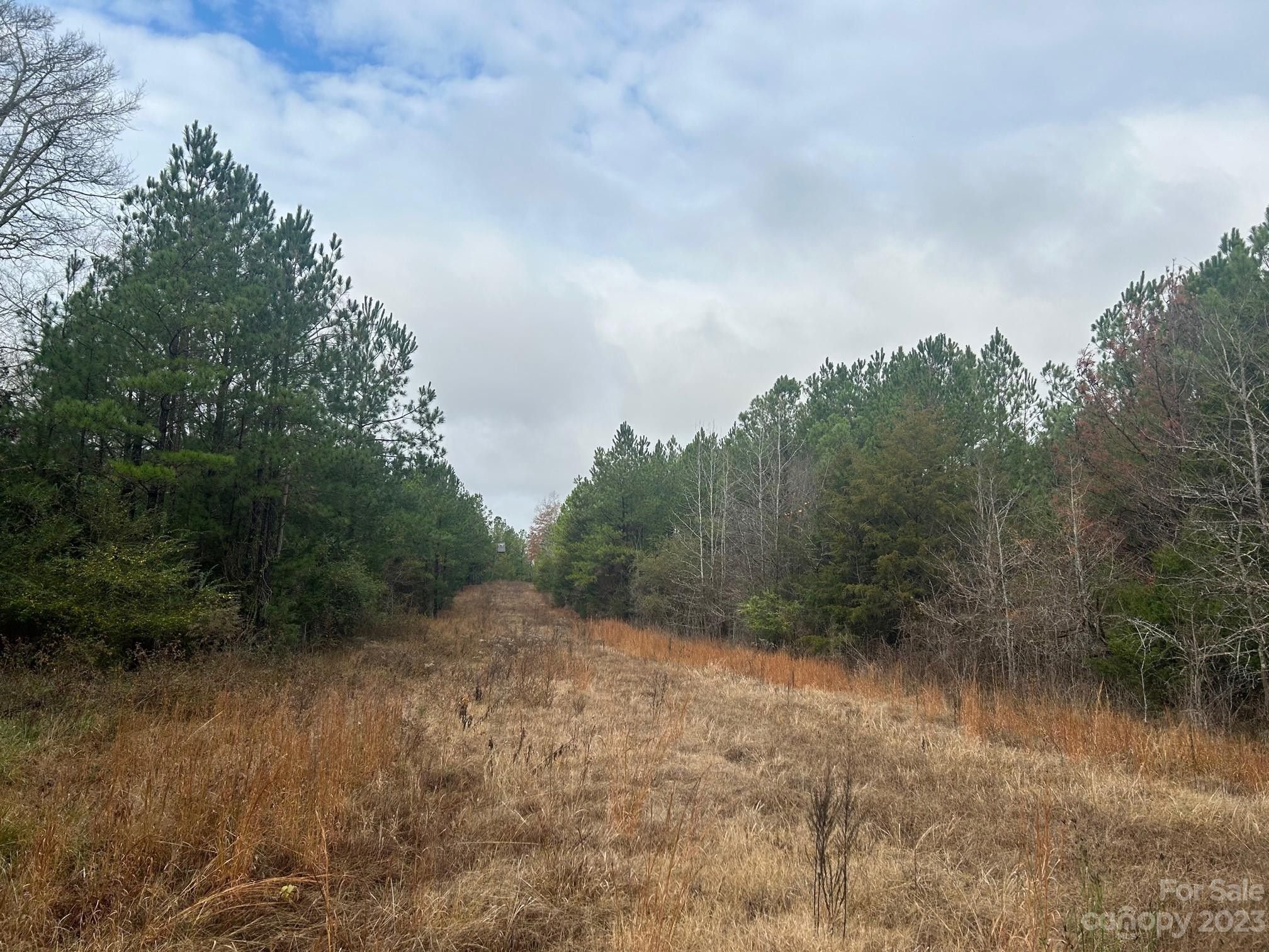 Chester, Chester County, SC Undeveloped Land for sale Property ID