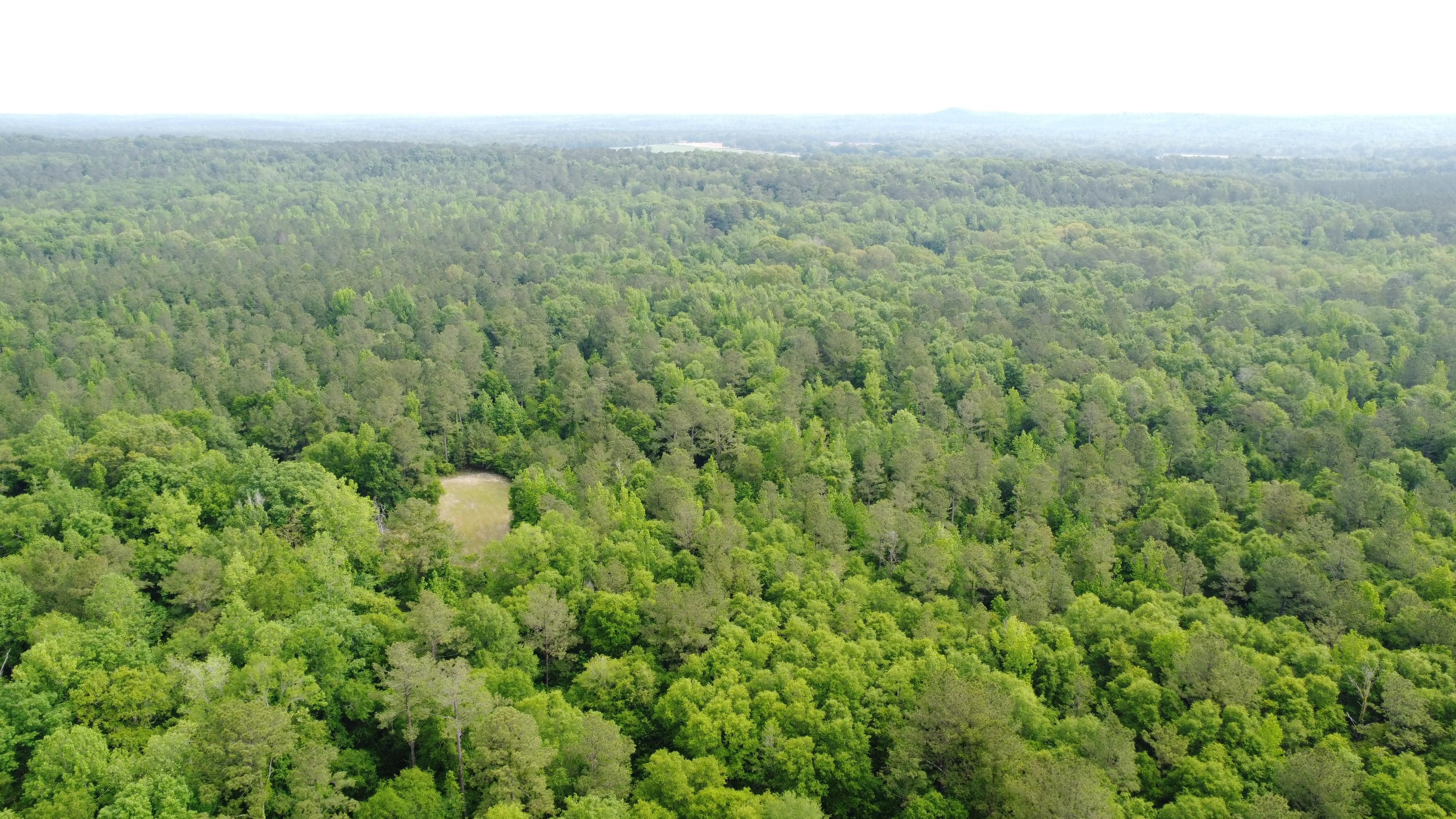 Stovall Road, Eufaula, AL 36027 LandWatch