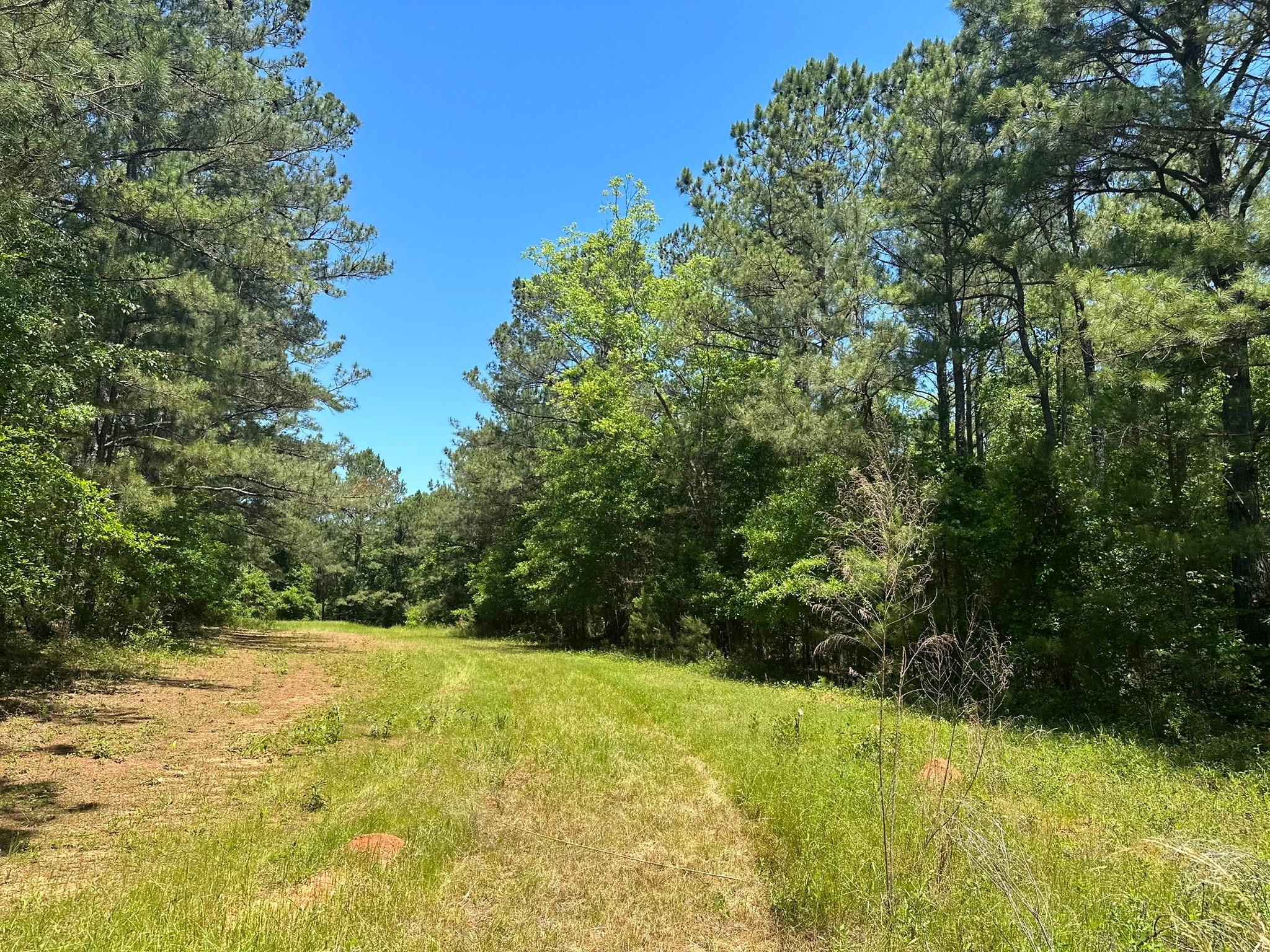 Plains, Sumter County, GA Recreational Property, Undeveloped Land