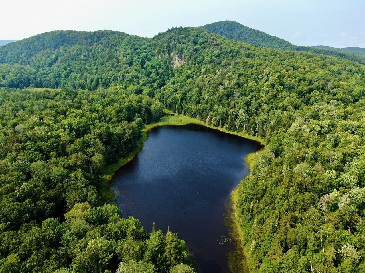 Calais, Washington County, VT Undeveloped Land, Lakefront Property, Waterfront Property for sale