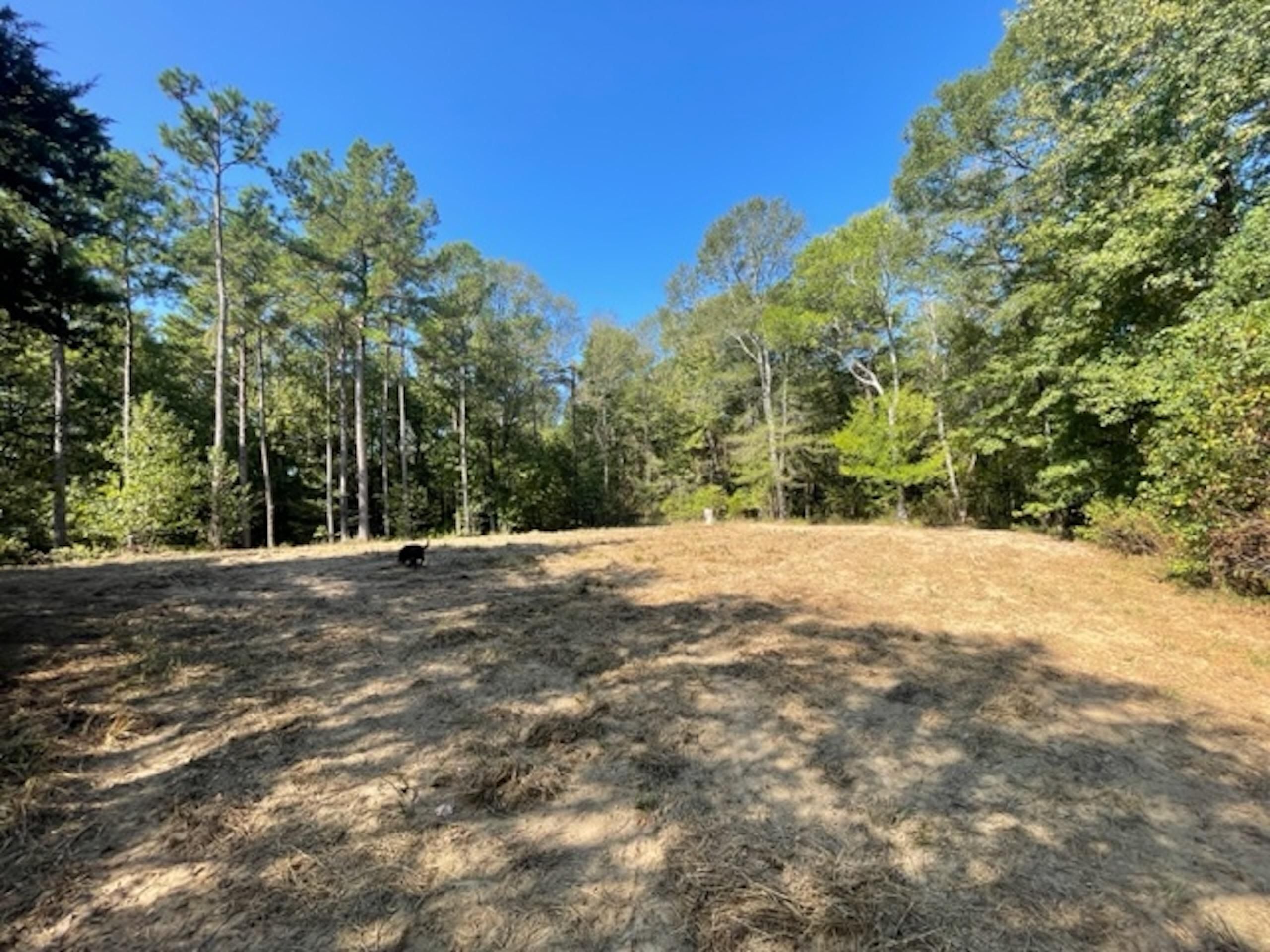 Wesley Lane NW, Union Church, MS 39668 LandWatch